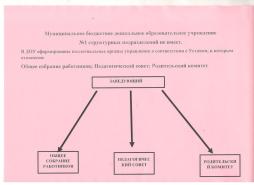 ОПИСАНИЕ СТРУКТУРЫ И ОРГАНОВ УПРАВЛЕНИЯ